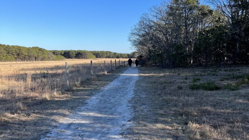 Trade Winds Field Trailhead - Vineyard Haven, MA