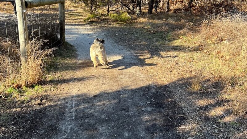 Trade Winds Field Trailhead - Vineyard Haven, MA