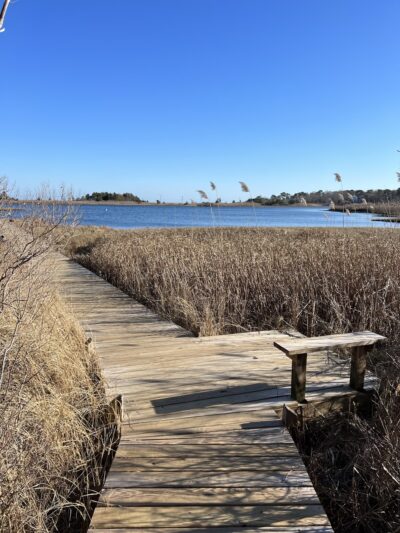 Trade Winds Field Trailhead - Vineyard Haven, MA
