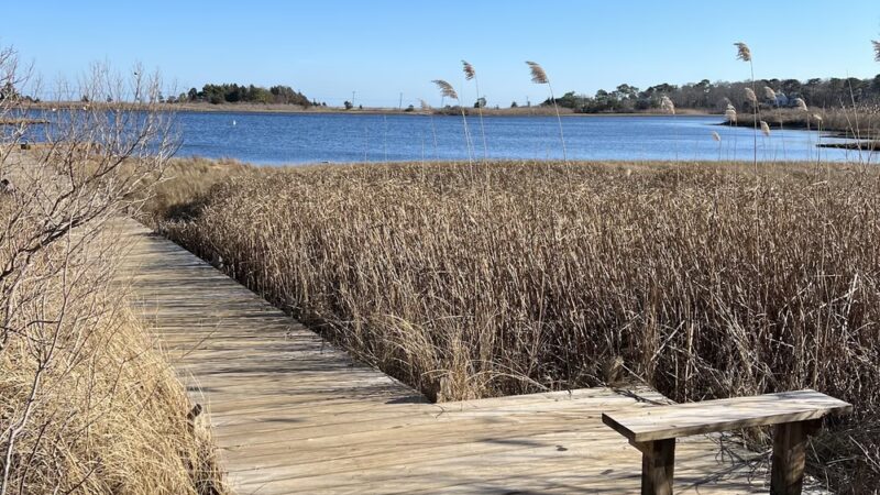 Trade Winds Field Trailhead - Vineyard Haven, MA
