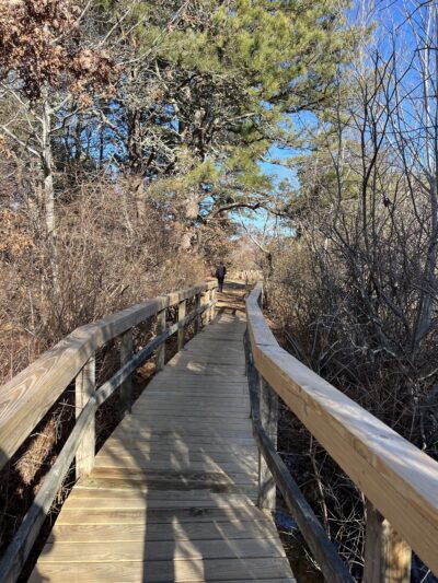 Trade Winds Field Trailhead - Vineyard Haven, MA