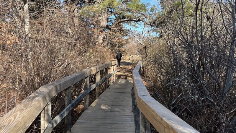 Trade Winds Field Trailhead - Vineyard Haven, MA