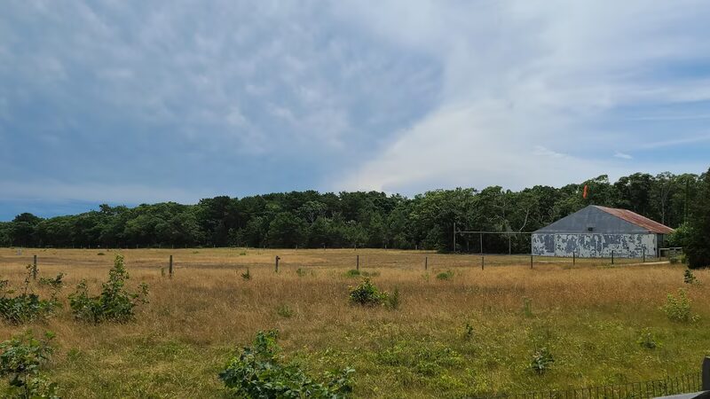 Trade Winds Field Trailhead - Vineyard Haven, MA
