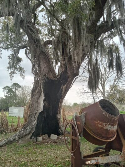 Violet Park - Violet, LA