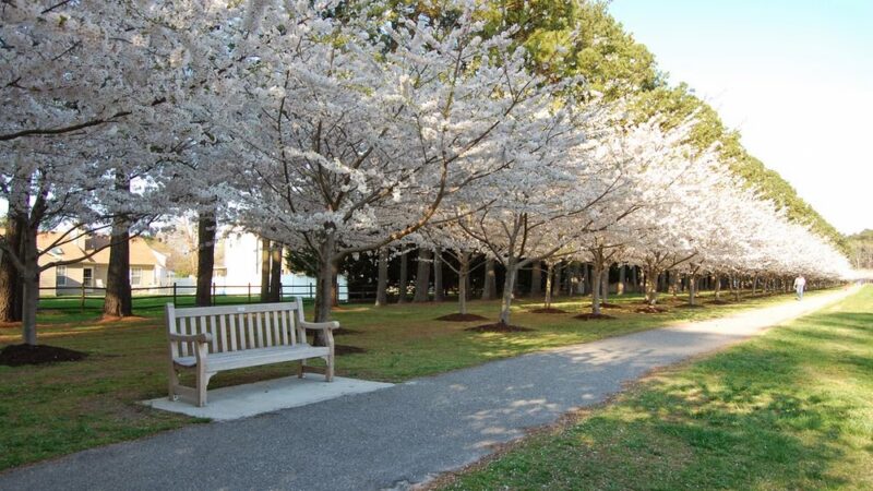 Red Wing Park - Virginia Beach, VA