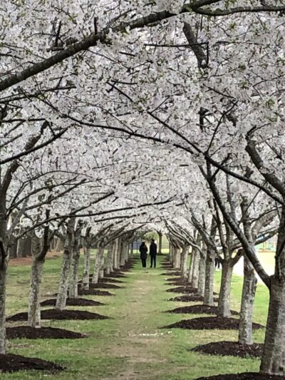 Red Wing Park - Virginia Beach, VA