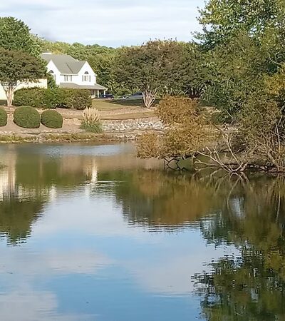 Virginia State University - VIRGINIA STATE UNIVERSITY, VA