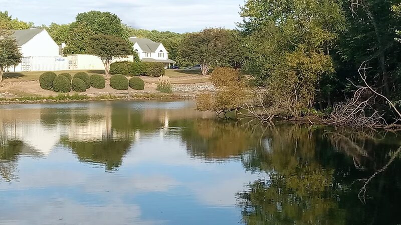 Virginia State University - VIRGINIA STATE UNIVERSITY, VA