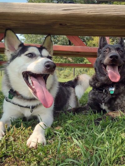 Viroqua Bark Park - Viroqua, WI