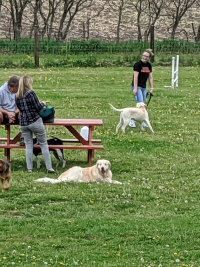Viroqua Bark Park - Viroqua, WI