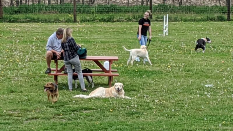 Viroqua Bark Park - Viroqua, WI