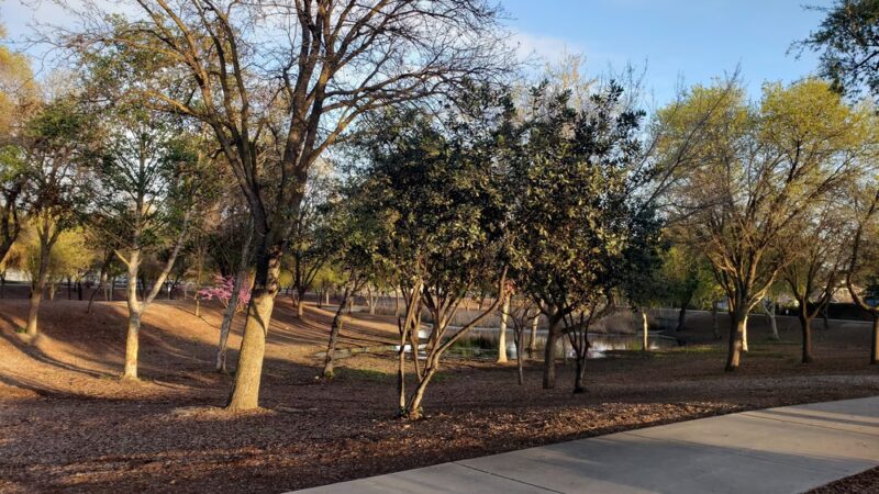 Seven Oaks Park - Visalia, CA