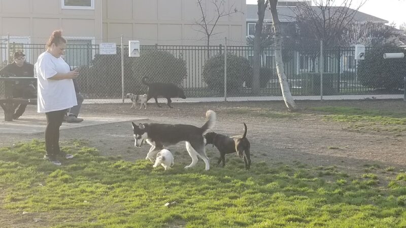 Seven Oaks Park - Visalia, CA