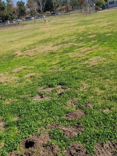 Breeze Hill Park - Vista, CA