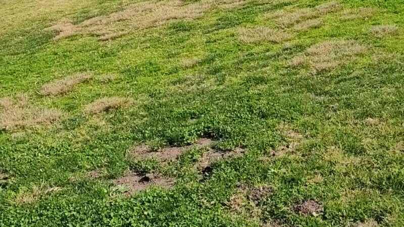 Breeze Hill Park - Vista, CA