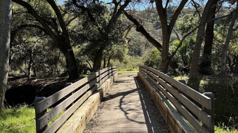 Buena Vista Park - Vista, CA