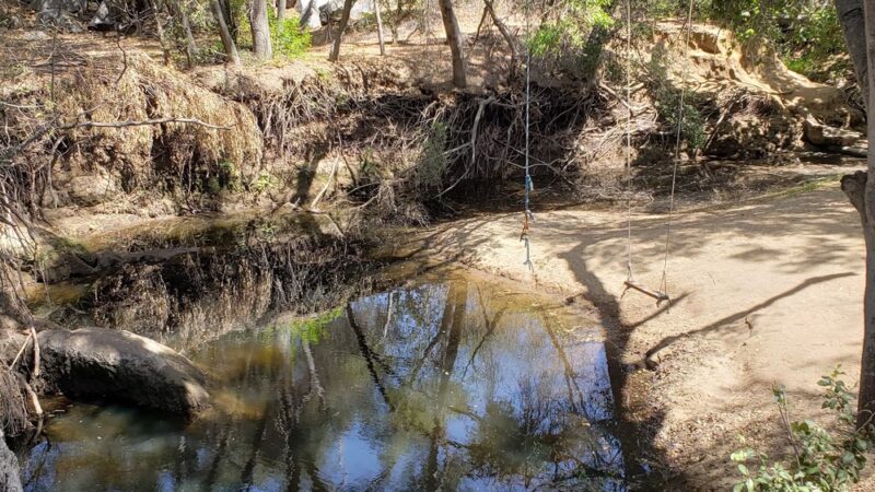 Buena Vista Park - Vista, CA