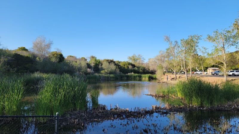 Buena Vista Park Loop Trailhead - Vista, CA