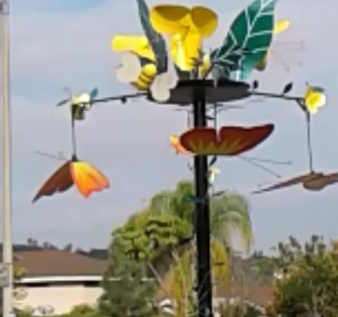 Shadowridge Park - Vista, CA