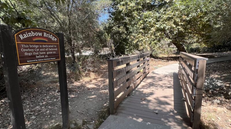 South Buena Vista Park - Vista, CA