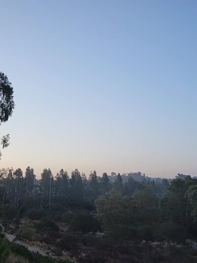 South Buena Vista Park - Vista, CA