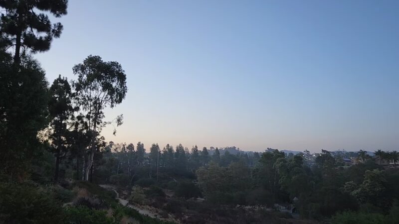 South Buena Vista Park - Vista, CA