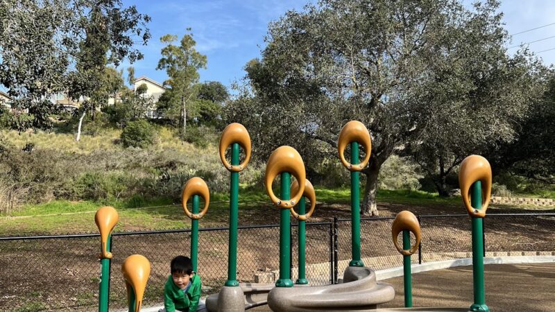 South Buena Vista Park - Vista, CA