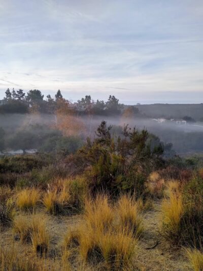 South Buena Vista Park - Vista, CA