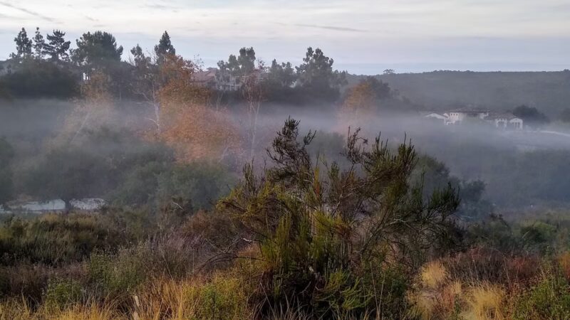 South Buena Vista Park - Vista, CA