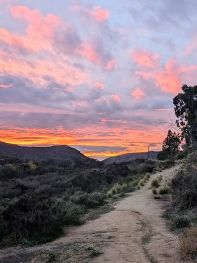 South Buena Vista Park - Vista, CA