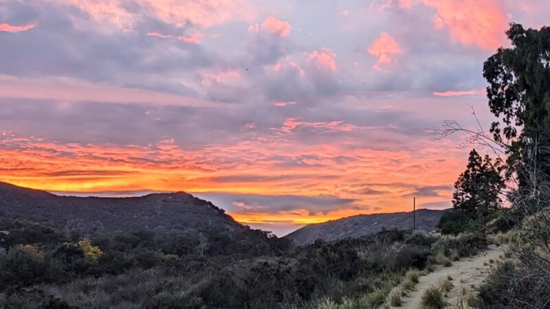 South Buena Vista Park - Vista, CA