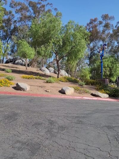 Thibodo Park - Vista, CA