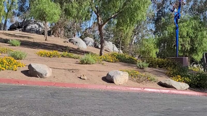 Thibodo Park - Vista, CA