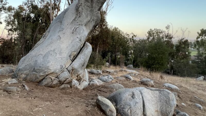 Thibodo Park - Vista, CA