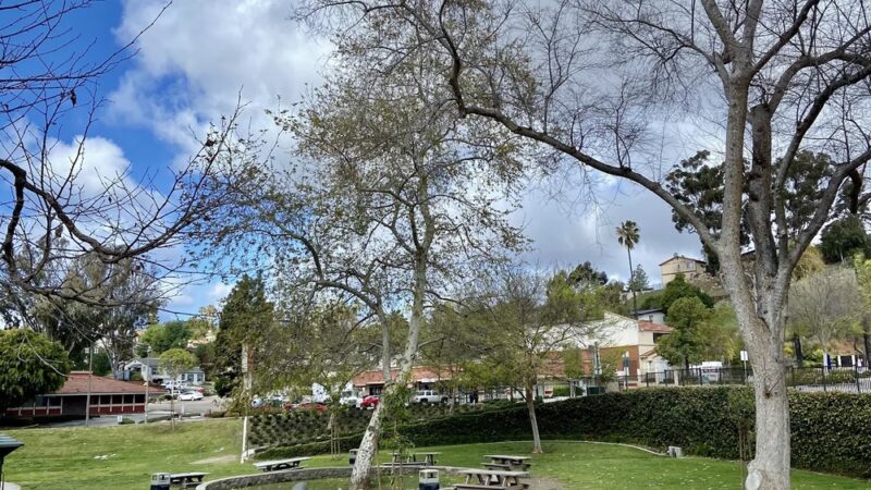 Wildwood Park - Vista, CA