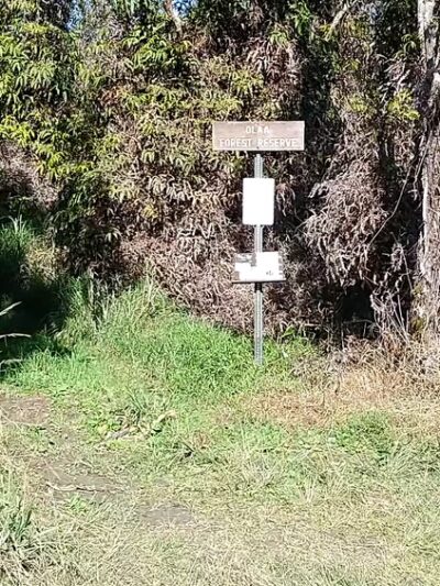 ‘Ōla‘A Forest Reserve Trail - Volcano, HI