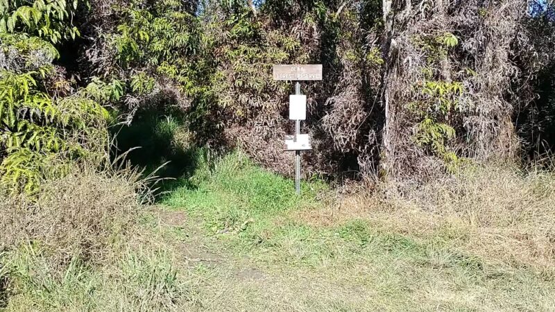 ‘Ōla‘A Forest Reserve Trail - Volcano, HI