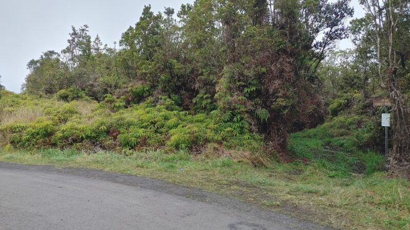 ‘Ōla‘A Forest Reserve Trail - Volcano, HI
