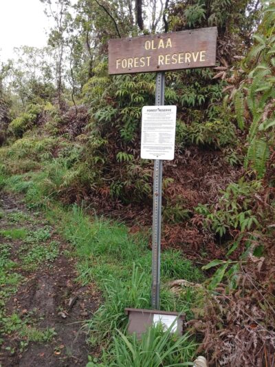 ‘Ōla‘A Forest Reserve Trail - Volcano, HI