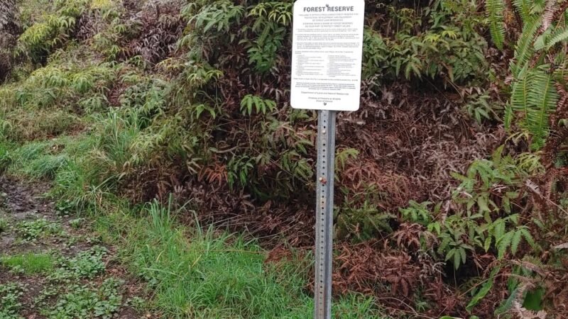 ‘Ōla‘A Forest Reserve Trail - Volcano, HI