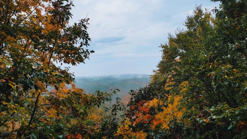 Quartz Hill Trail - Wabeno, WI