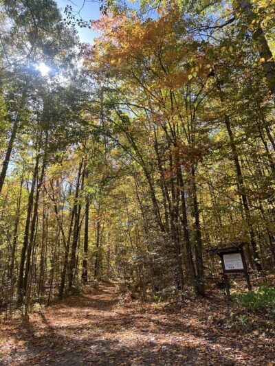 Quartz Hill Trail - Wabeno, WI