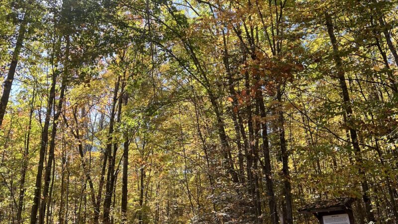 Quartz Hill Trail - Wabeno, WI