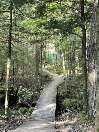 Quartz Hill Trail - Wabeno, WI