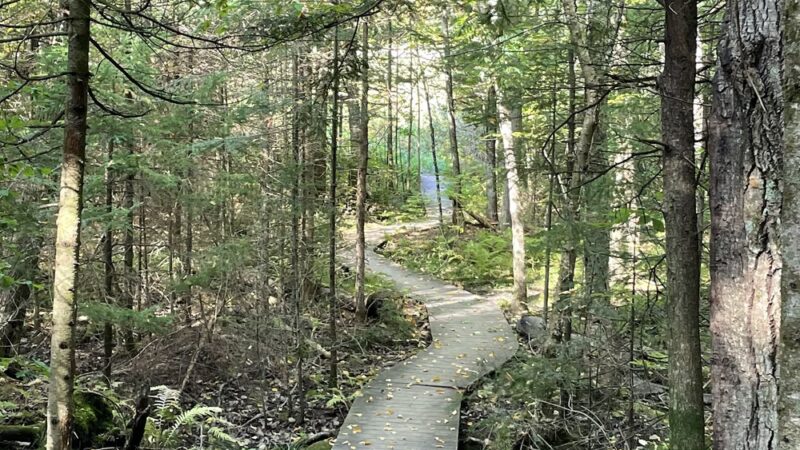 Quartz Hill Trail - Wabeno, WI