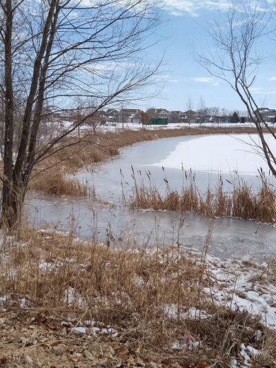 Interlaken Park - Waconia, MN