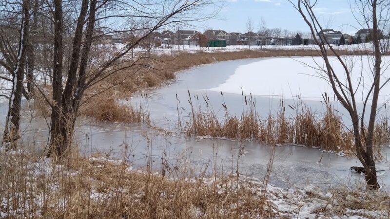 Interlaken Park - Waconia, MN
