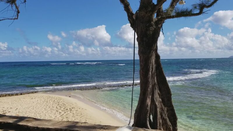 Camp Mokulēʻia - Waialua, HI
