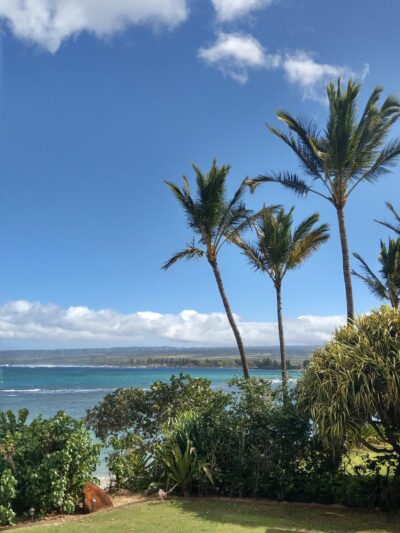 Dole Private Beach Park - Waialua, HI