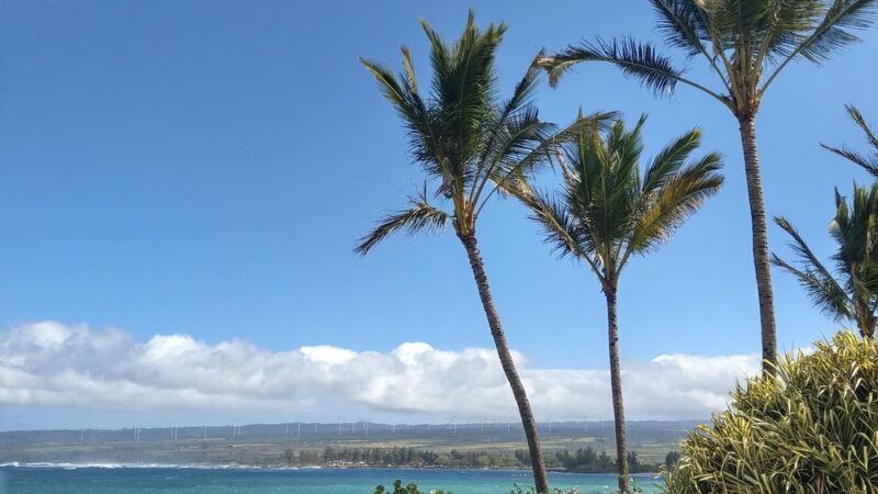 Dole Private Beach Park - Waialua, HI